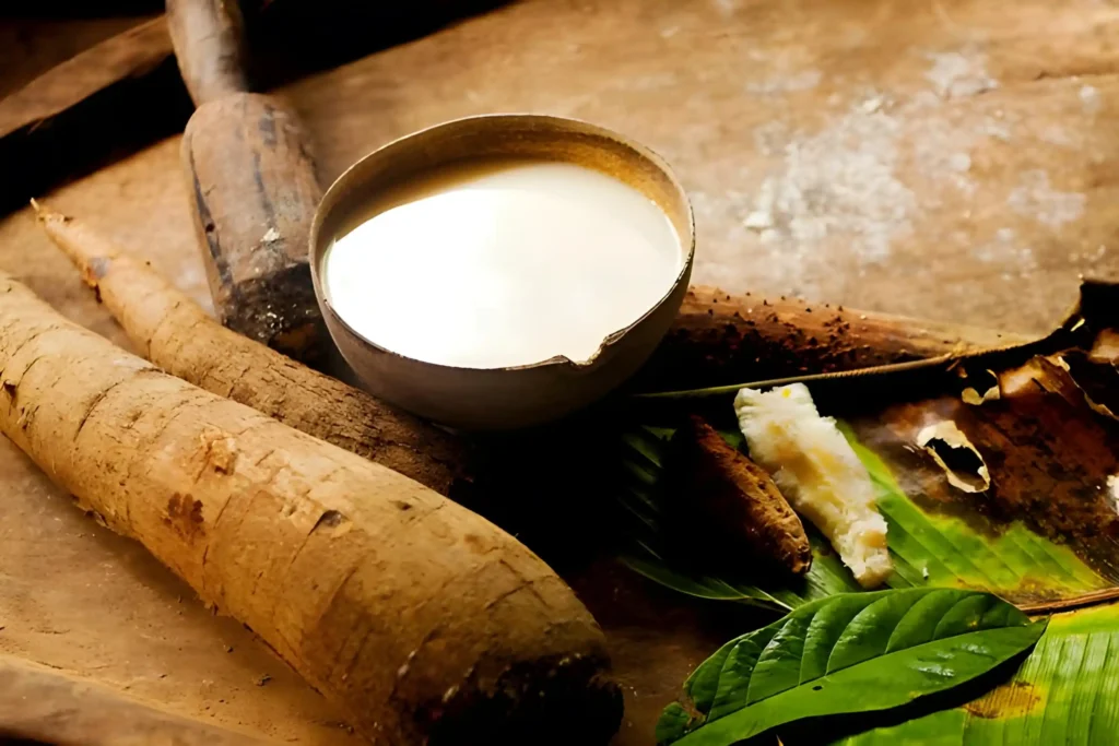 Amazonian Shuar fermentated yuca preparation, called Chicha.