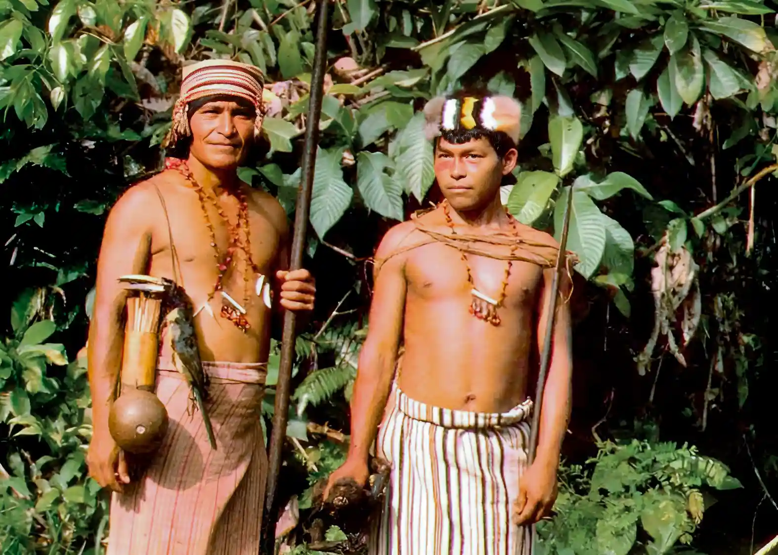 Amazonian Shuar hunters.