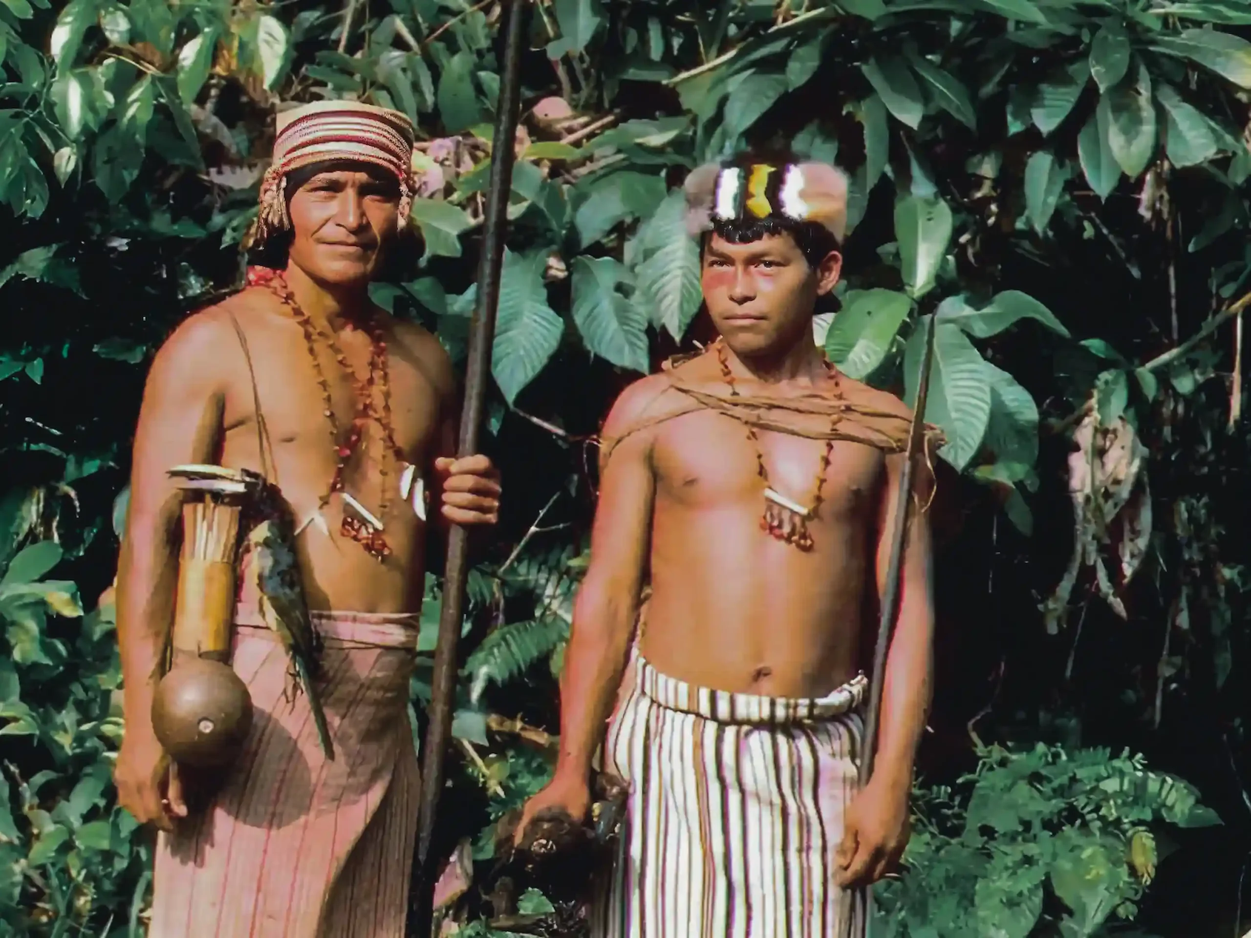 cazadores_shuar